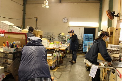 横須賀養鶏場